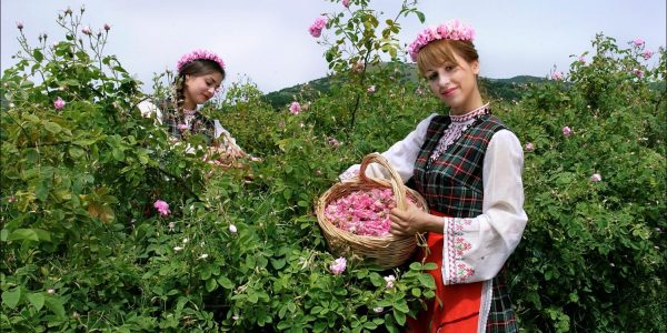 Празникът на розата и розовото масло на България